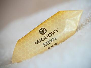 Фото номера Трехместный номер Отель Hotel Miodowy Młyn г. Опатув 4